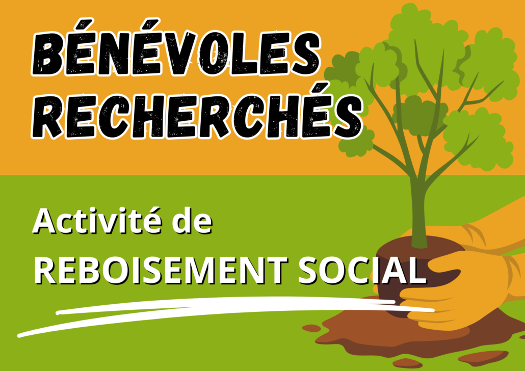 Je m'implique pour le «Reboisement social» dans ma ville
